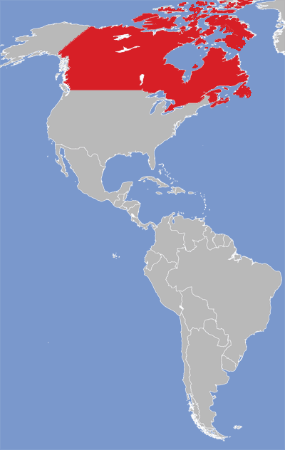 Map of French-Canadian language speakers.