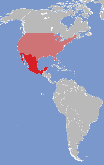 Map of Spanish-Mexican language speakers.