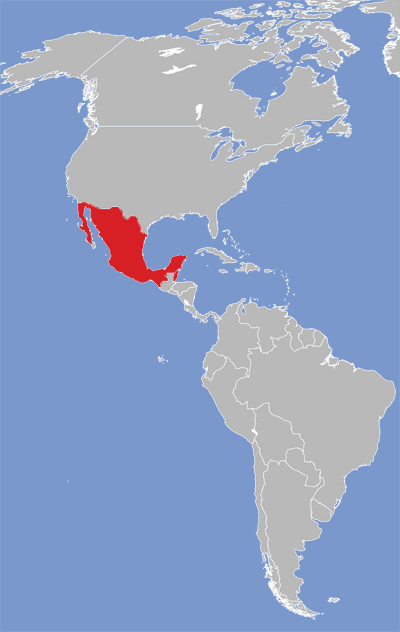 Map of Yucatec Maya language speakers.